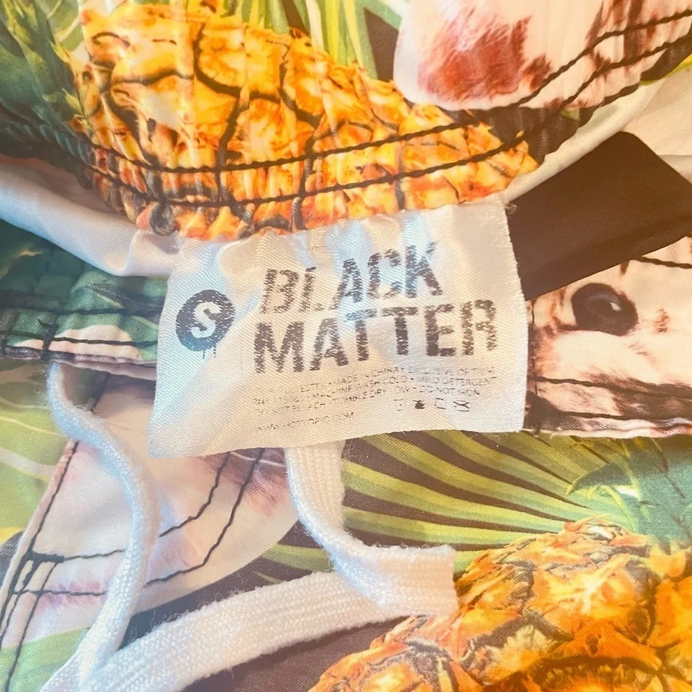 Hot Topic Black Matter Pineapple Cat Swim Trunks